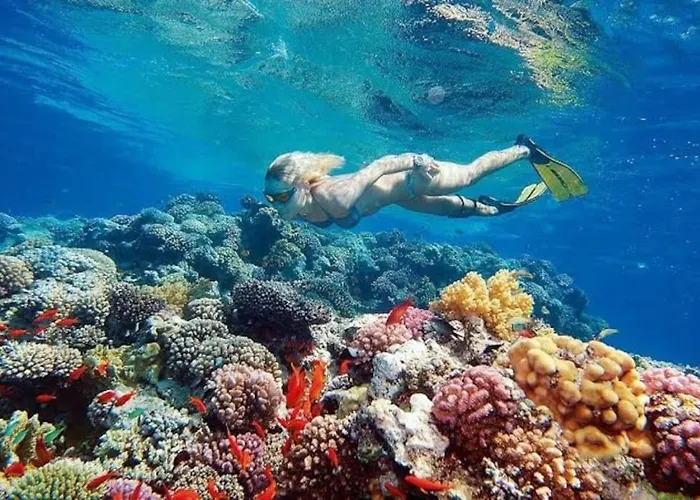 דירה Snorkeling Paradise 5 Star Stella Makadi הורגהדה