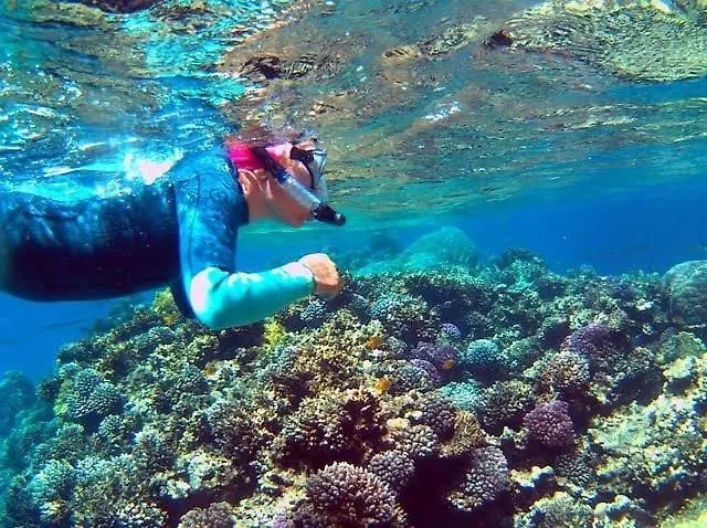 Snorkeling Paradise 5 Star Stella Makadi *